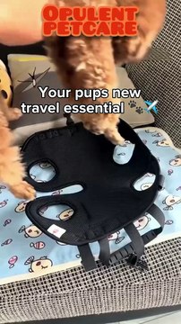 Portable Crossbody Handbag Pet Carrier for Small Dogs & Cats – Front Sling Bag with Legs Out Design
