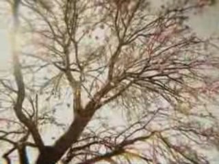 Butter Menthol TVC - Prodigy Films