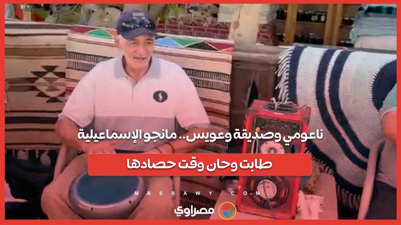ناعومي وصديقة وعويس.. مانجو الإسماعيلية طابت وحان وقت حصادها
