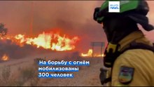 12 человек погибли в результате лесных пожаров на юге Испании, 23 числятся пропавшими без вести