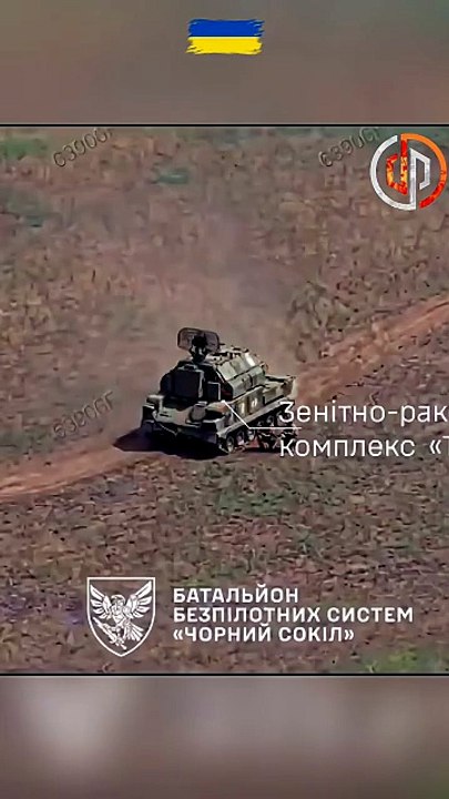238th Blackhawk Battalion Takes Out a TOR