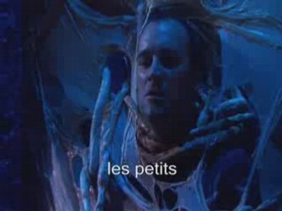 Stargate wiwi
