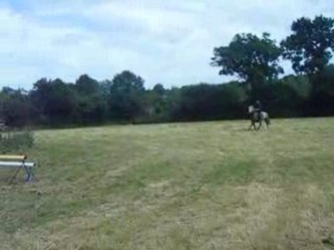 Saut oxer Orgueilleux