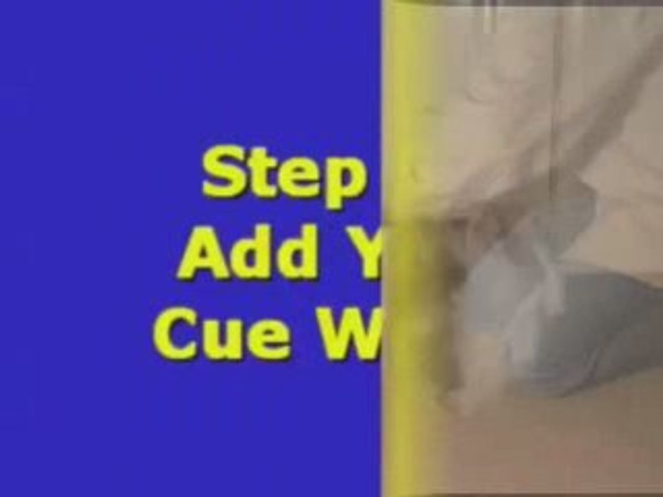 Dog Training Trick - Take A Bow