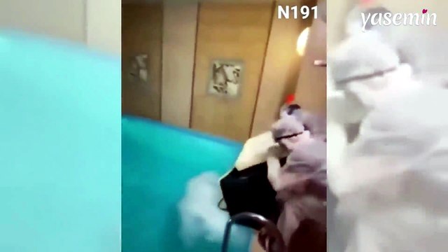 Havuza dökülen kuru buz faciaya yol açtı: Uzmanlar kuru buz kullananları bir kez daha uyardı