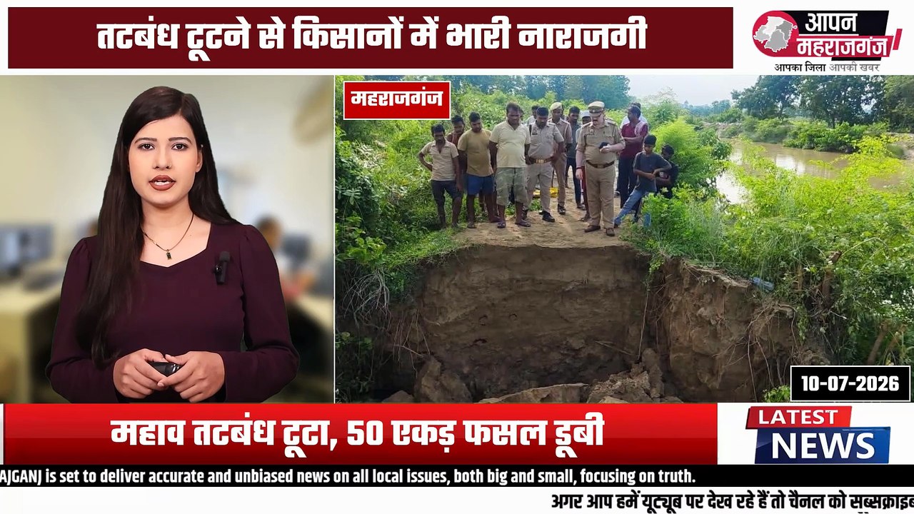 महराजगंज में महाव नाले का तटबंध टूटा | 50+ एकड़ धान की फसल जलमग्न | किसानों में भारी नाराजगी
