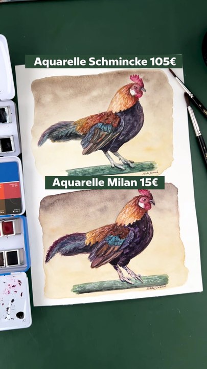 Aquarelle pas chère vs chère : la preuve que vous n'avez pas besoin de dépenser une fortune pour vous faire plaisir à l'aquarelle