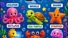 🐬 Learn Sea Animals for Kids | Dolphin, Whale, Shark & More! 🌊 | Educational Shorts