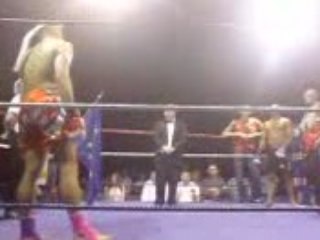 gala phoenix muay thai LAURENT FRERARD
