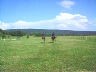 Journée cheval et plein air (24)
