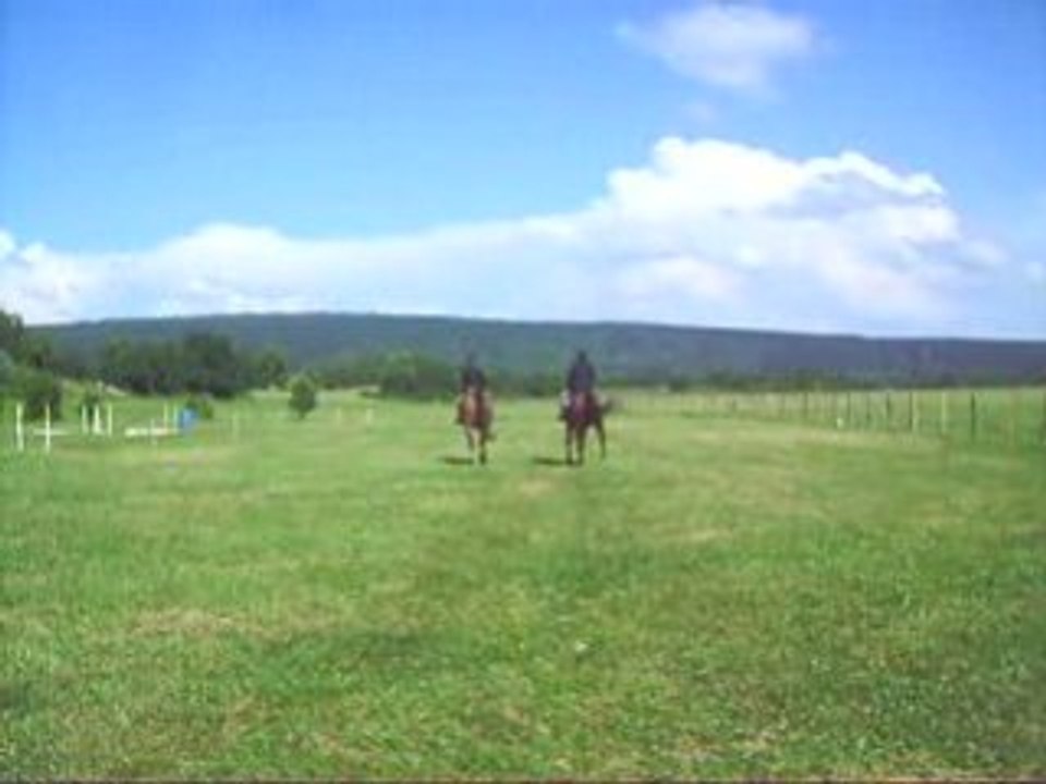 Journée cheval et plein air (24)