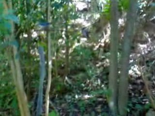 Parque Ecologico Chipinque