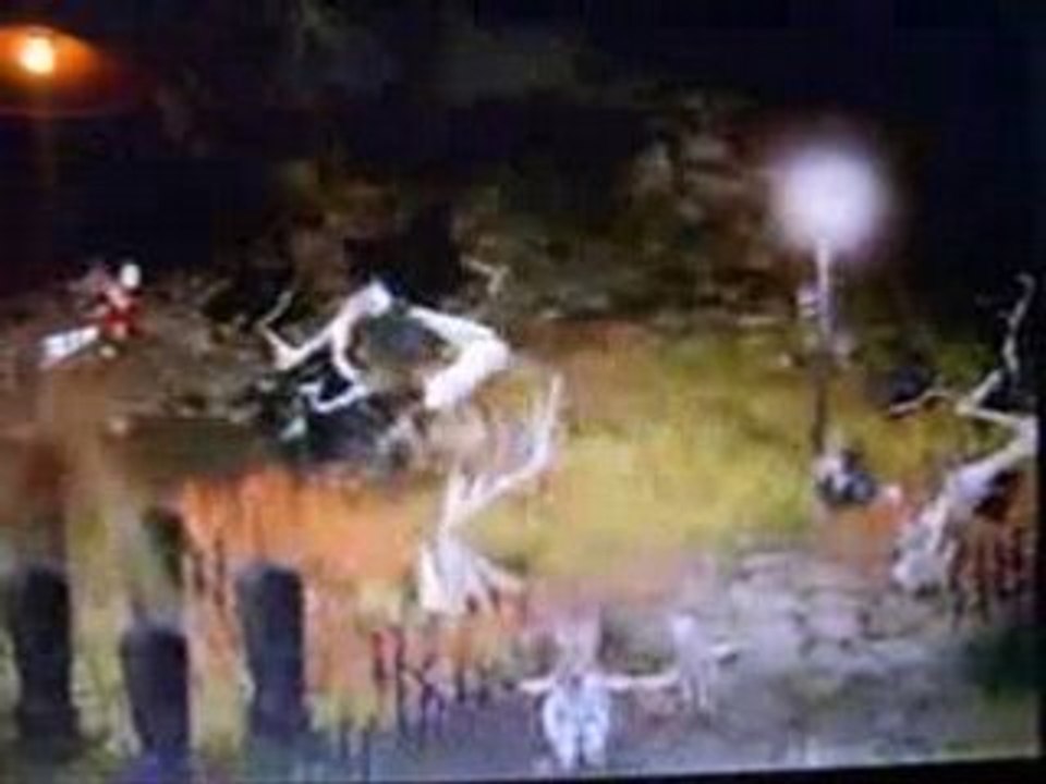 dofus wakfu developper par ankama games