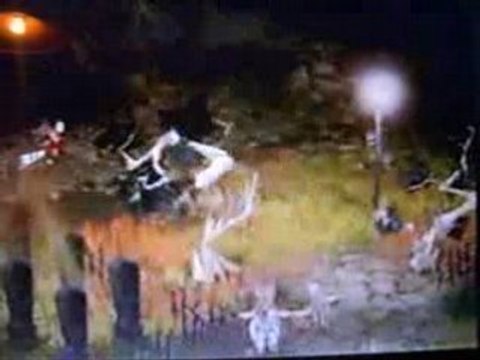 dofus wakfu developper par ankama games