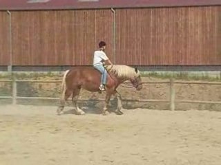 2008.07_Samson trotte a cru