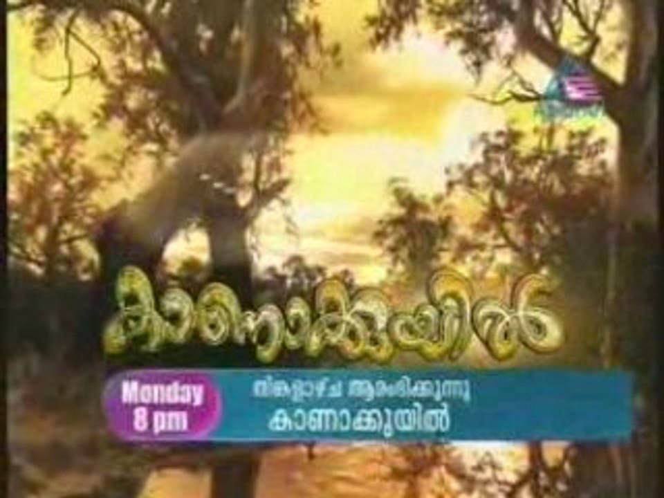 SP -- 2008-07-03 Pt03.mp4
