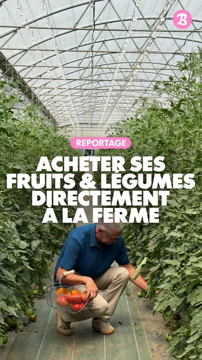 Reportage : Acheter des fruits & légumes directement à la ferme