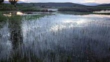 A las puertas de Tamajón, un pequeño humedal se transforma cada primavera y verano en un refugio de calma.