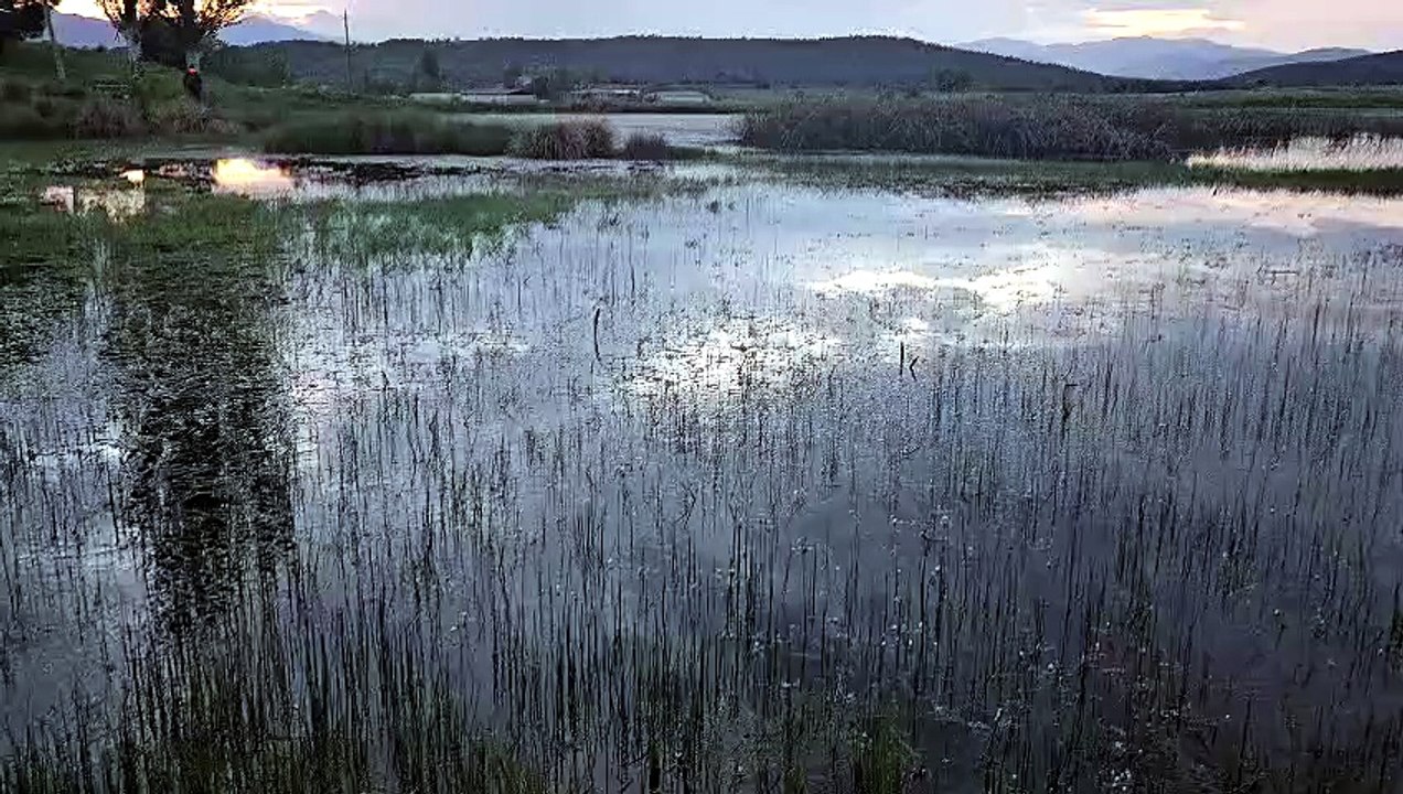 A las puertas de Tamajón, un pequeño humedal se transforma cada primavera y verano en un refugio de calma.