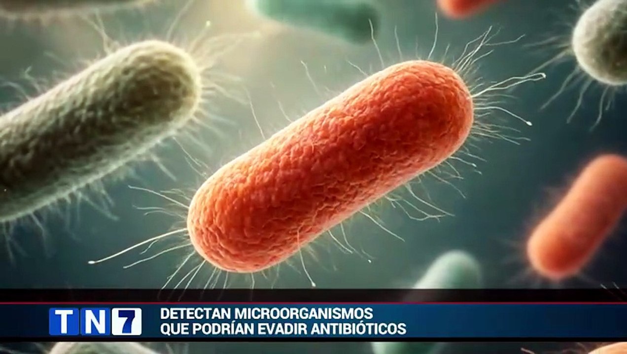 tn7-rio-virilla-bajo-alerta-por-bacterias-altamente-resistentes-160426 [Full Movie]