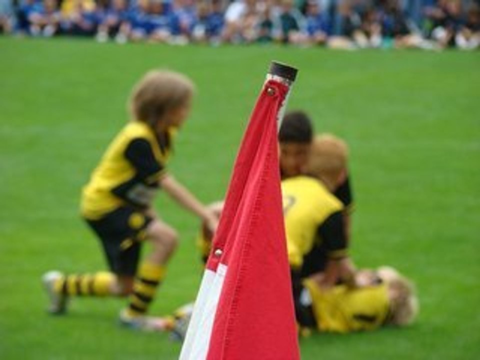 McDonalds Juniorcup 2008
