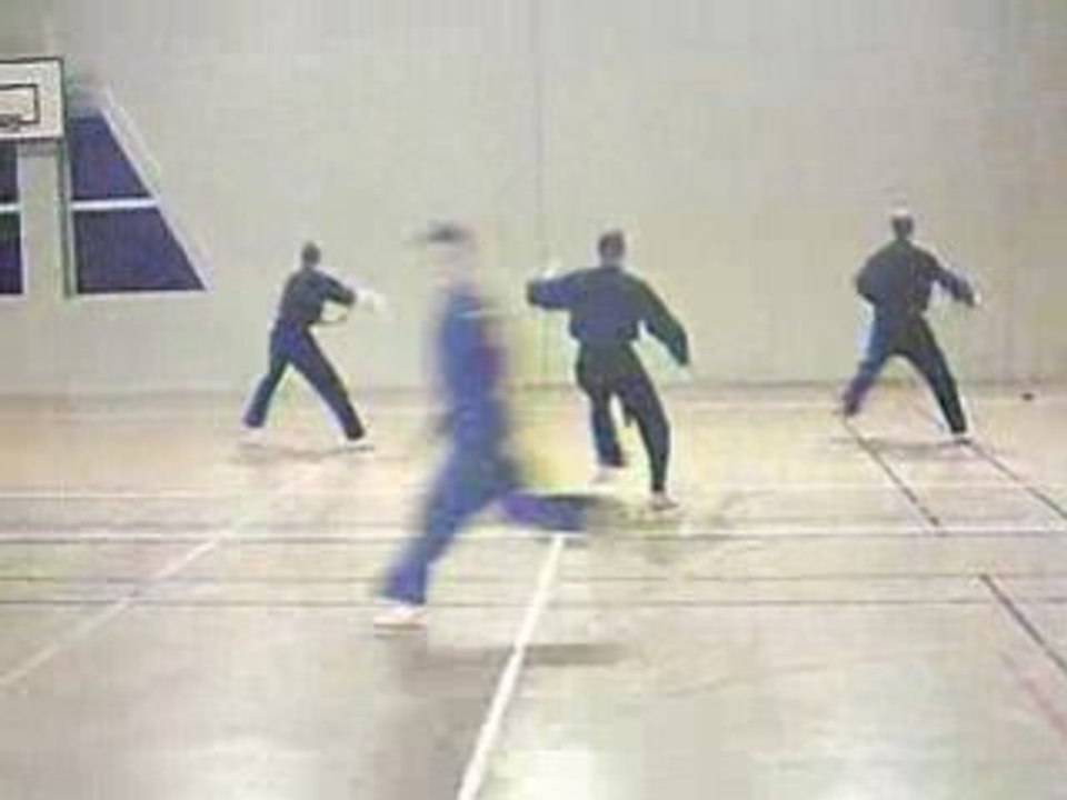 Viet vo dao synchro  bak long dao