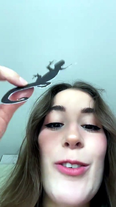 PRANK : FAUX LÉZARD 🦎 On voit comment mon chat...