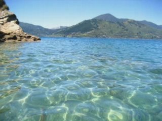 Latina musicas  .. salsa  meringue    .. new 2008 summer