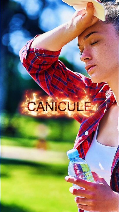 Canicule 🌞🥵 : la vidéo ultime pour te rafraichir 🥶🤣