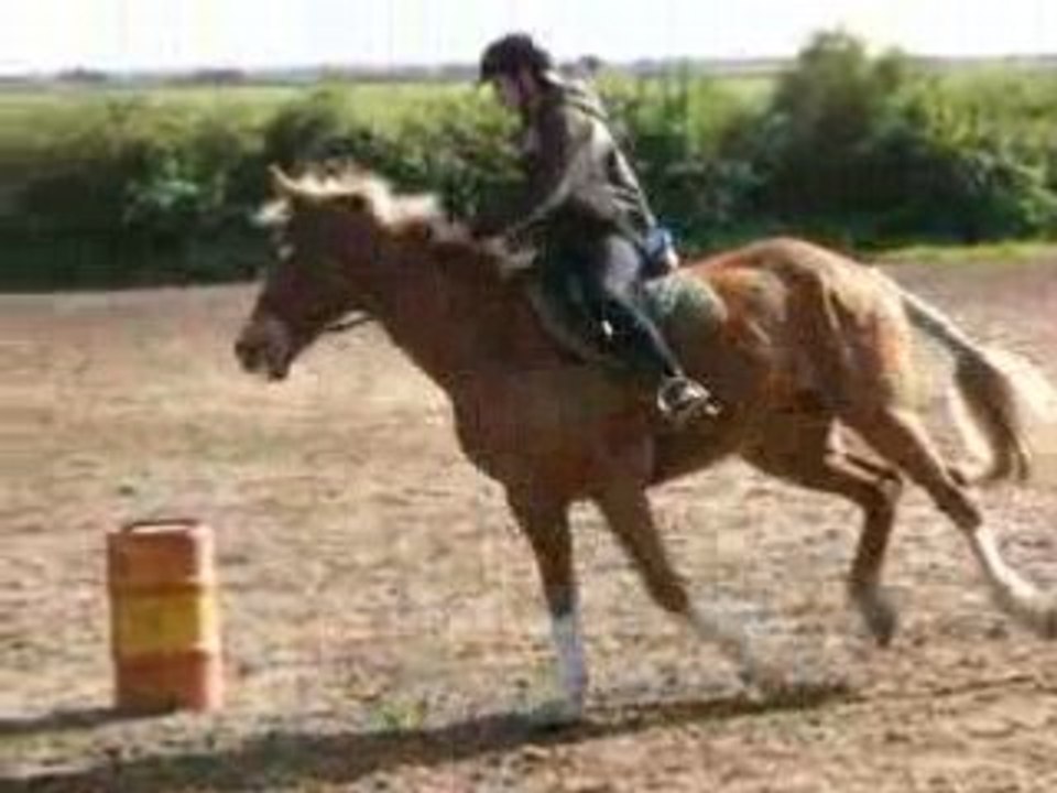 Barrel Race Ismar/Pirate