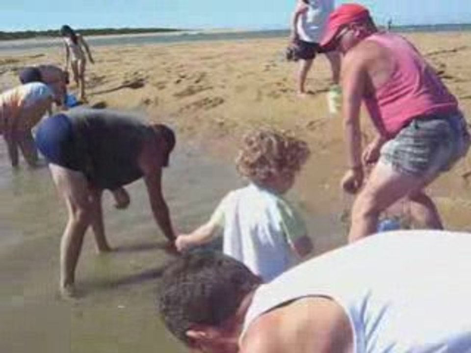 A la pêche