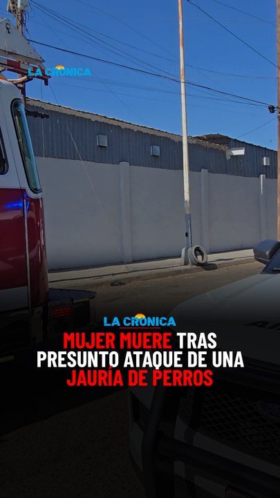 Mujer muere tras presunto ataque de una jauría de perros