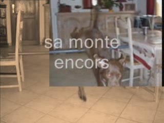 Charly qui sentraine