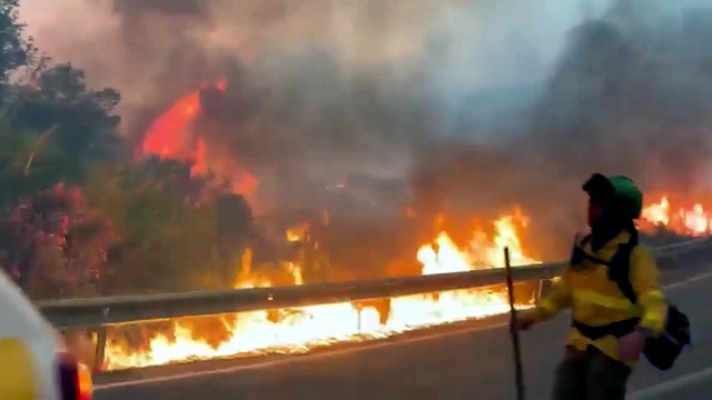Trágico incendio forestal en España