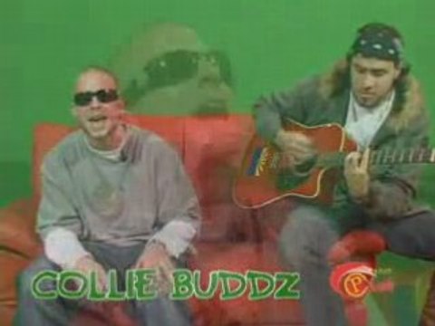 Collie Buddz - Riddim Up