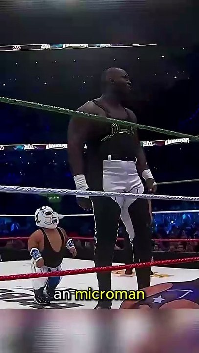 Bully hits kid with a 619! You won't believe who saves him! #wwe