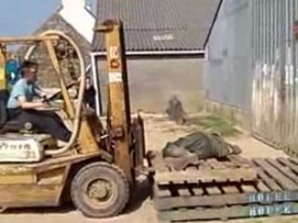 Ce qu'on fait quand on se fait chier chez les paysans