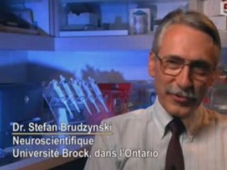 Le Rat , Roi De La Debrouille 3/3