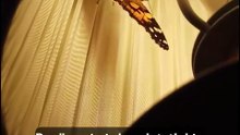 #kelebek#butterfly