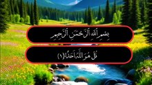 Islam s power