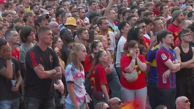 reacciones fans belgica frances