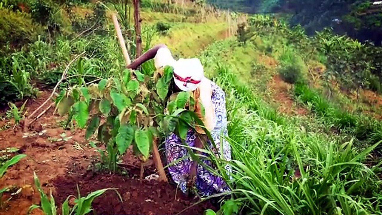 On Rwanda’s Hillsides, the MuLaKiLa Project Sows More Than Trees