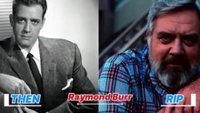 16 Classic TV Dads Who Hid Their Secret Gay Lives