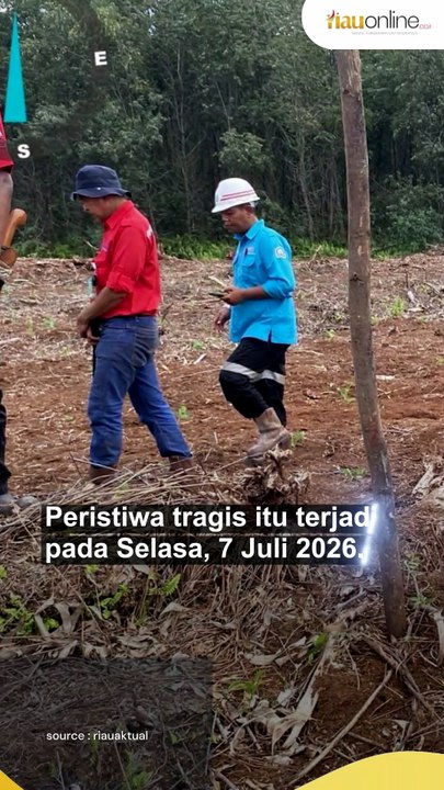 Bocah di Pelalawan Tewas Diterkam Harimau, BBKSDA Riau Segera Mitigasi