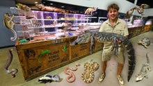 ¡Rescaté un animal de una expo de reptiles!