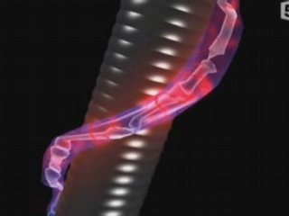 Le Rat , Roi De La Debrouille 1/3