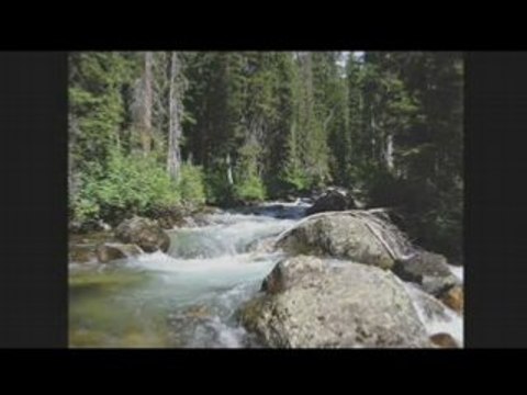 Sourate Ankabout (Cheikh Mohammed Al Mohaisany)