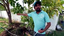 I Am Making Personal Cricket & Football Stadium...Part-1