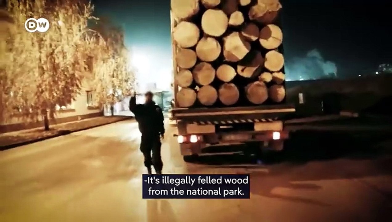 Flatpack forests - IKEA’s practices in the Carpathian Mountains