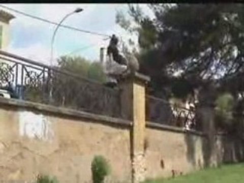 SOLO YOHAN PARKOUR PAC 13